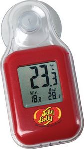 Celsius Digital Indoor/Outdoor Thermometer