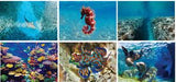 Underwater World Spiral Wall Calendar