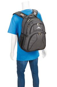 High Sierra Swerve 17'' Computer Backpack