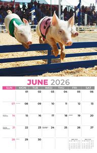 Galleria Wall Calendar 2026 Country Spirit