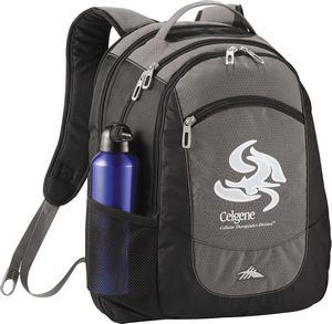 High Sierra Fly-By 17'' Computer Backpack