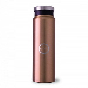 Trend Setter Metallic 600 Ml / 20 Oz Stainless Steel Bottle