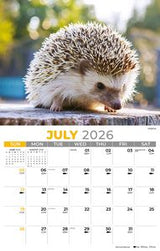 Jul -2026