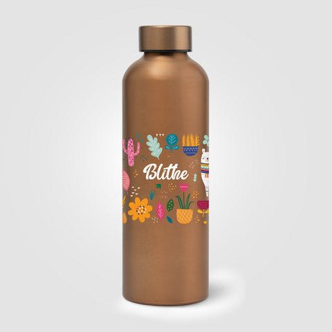Astrid Recycled Stainless Steel Metallic Bottle - 24 oz.