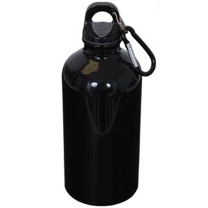 500 Ml (17 Fl. Oz.) Stainless Steel Bottle With Carabiner
