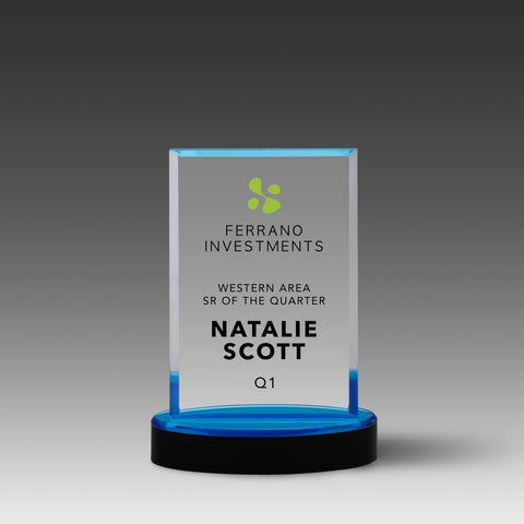 Value Mirror Vista™ Award (4