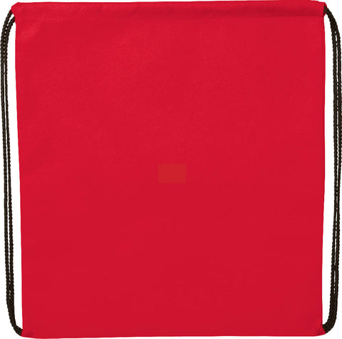 Evergreen Non-Woven Drawstring Bag