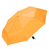 Orange (Blank)