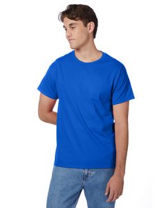 Hanes Printables Men's Authentic-T T-Shirt