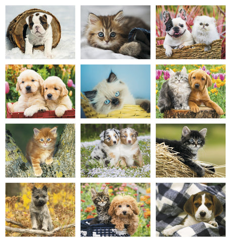 HotLine® Products Four Paws Appointment Calendar - Spiral