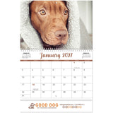 Full Colour Canine Companions Spiral Wall Calendar