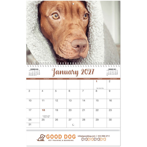 Full Colour Canine Companions Spiral Wall Calendar