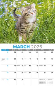 Galleria Wall Calendar 2026 Kittens Calendar