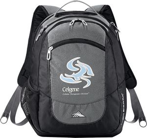 High Sierra Fly-By 17'' Computer Backpack