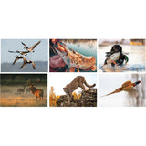 Full Colour Sportsman Spiral Wall Calendar
