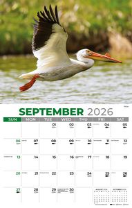 Galleria Wall Calendar 2026 North American Wildlife