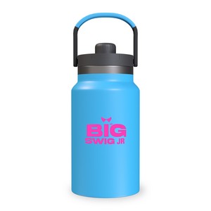 650 Ml / 22 Oz Stainless Steel Bottle