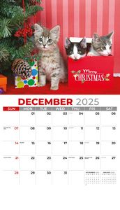 Galleria Wall Calendar 2026 Kittens Calendar