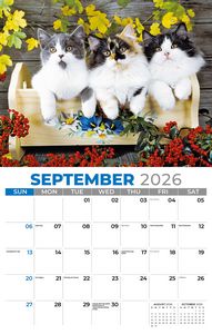 Galleria Wall Calendar 2026 Pets
