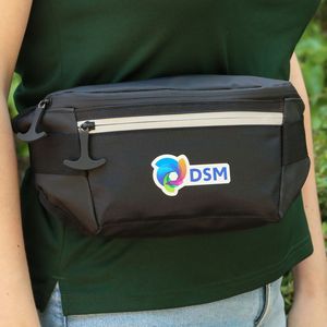 Glacier Peak Waist Pack