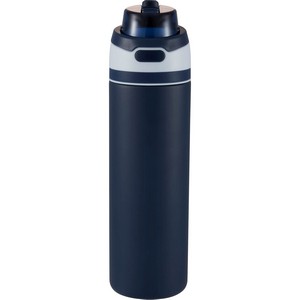 Elvin 28oz Recycled Stainless Flip Straw Bottle