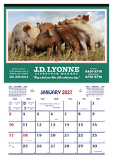 Skinner & Kennedy Farm Calendar image