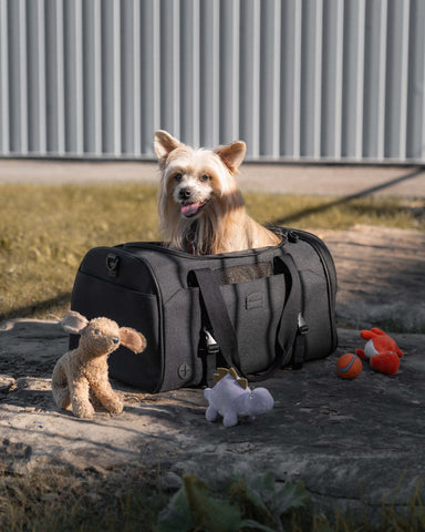 Bugatti Vacilando Pet Carrier Duffle