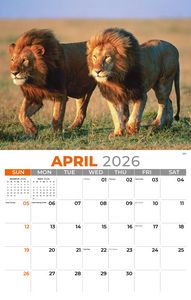 Galleria Wall Calendar 2026 International Wildlife
