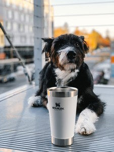 Stanley Stay-Chill Stacking Pint 16oz