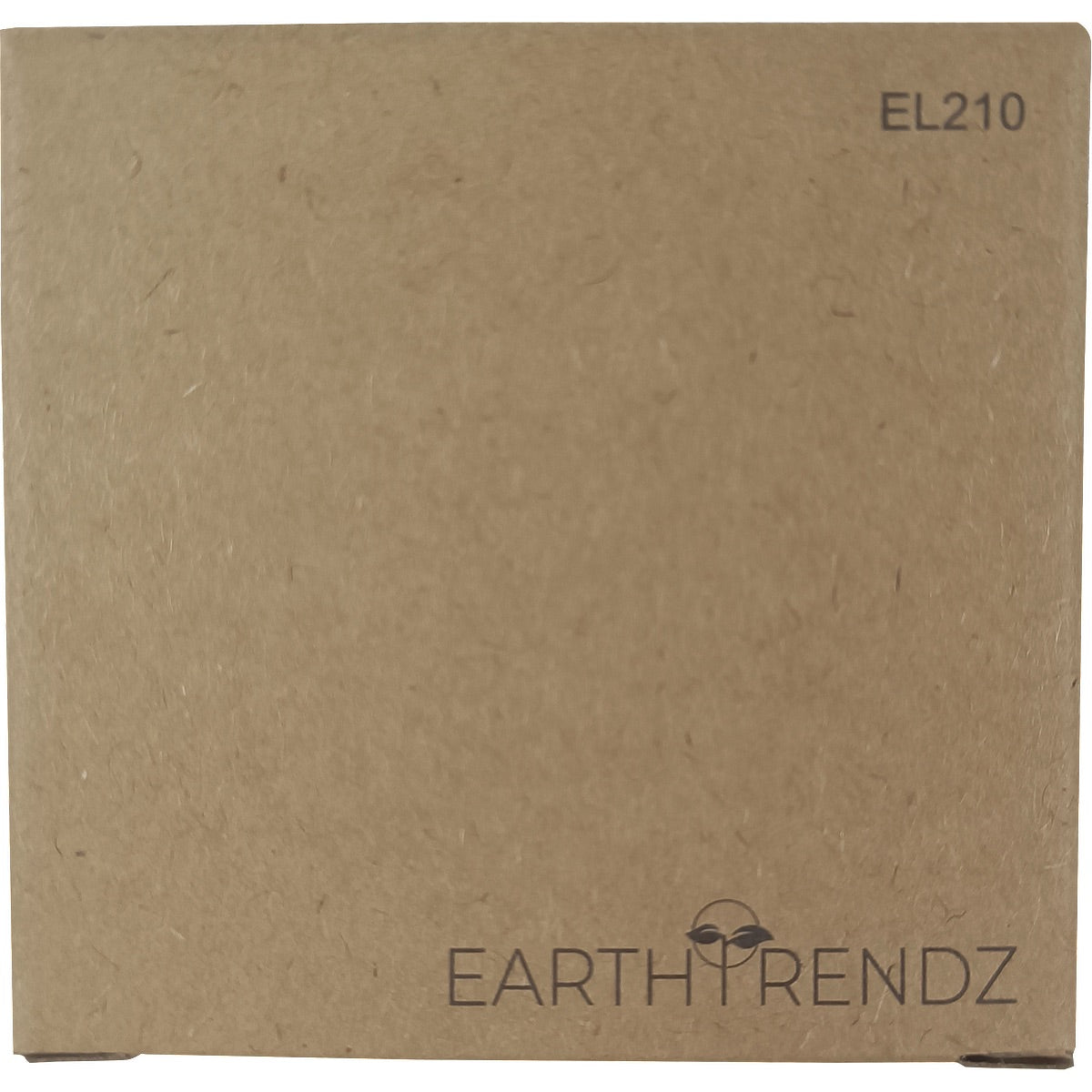 EarthTrendz Wheat Straw & Bamboo Earbuds & Case
