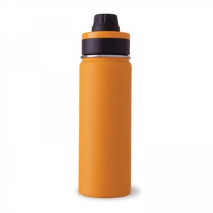 Ring Leader 600 Ml / 20 Oz Stainless Steel Bottle