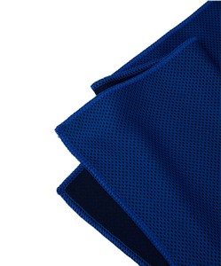 Cooling Towel with Travel Pouch