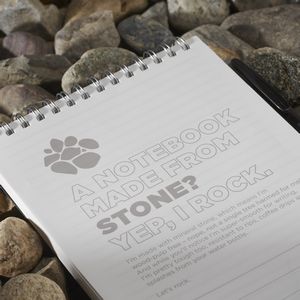 5'' x 7'' Mineral Stone Field Reporter Notebook with Pen