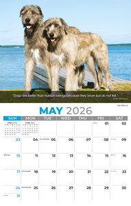 Galleria Wall Calendar 2026 Dogs Calendar