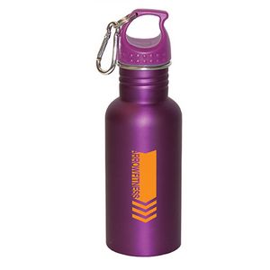 Wide Mouth 500 Ml (17 Fl. Oz.) Stainless Steel Water Bottle
