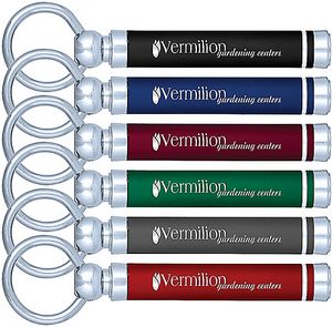 Showcase Softex Keychain