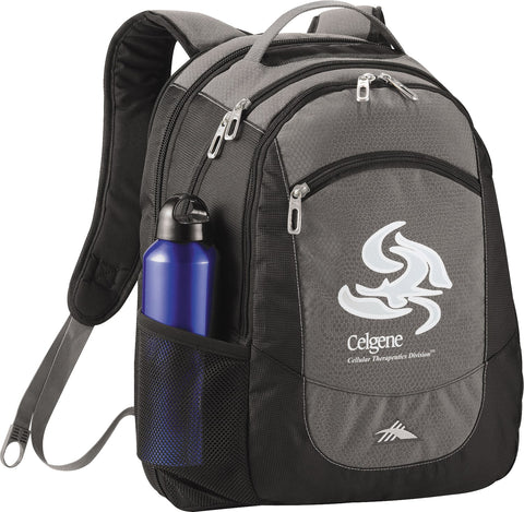 High Sierra Fly-By 17'' Computer Backpack
