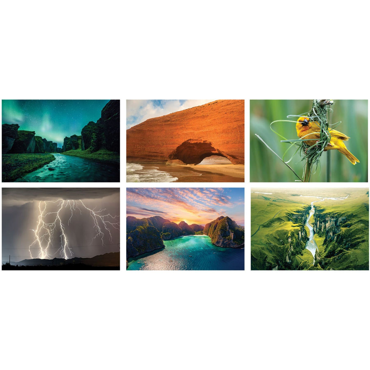 Luxe Gallery Amazing Nature Spiral Wall Calendar
