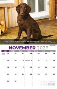 Galleria Wall Calendar 2026 Dogs Calendar