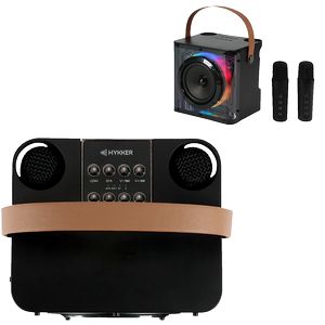 15W Karaoke Wireless Speaker with 2 Mics