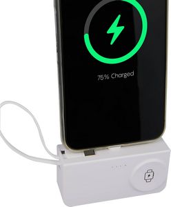 Hue Plus 5000 mAh Power Bank with Watch Charger