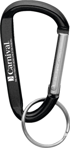 Small Carabiner Key Ring