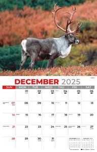 Galleria Wall Calendar 2026 North American Wildlife