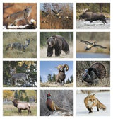 Wildlife Appointment Calendar - Spiral 403_25_4.png