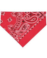 Red Paisley Blank