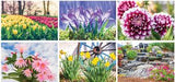 Full Colour Garden Splendor Spiral Wall Calendar