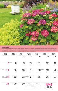 Galleria Wall Calendar 2026 Planet Earth Calendar