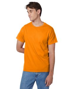 Hanes Printables Men's Authentic-T T-Shirt