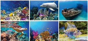 Underwater World Spiral Wall Calendar