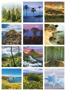 World Scenic